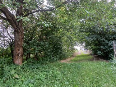 działka na sprzedaż 4600m2 działka Piotrków Pierwszy