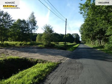 Polecam działkę 3004 m² w Łoźnicy z dostępem do wody i prądu działka Łoźnica