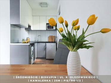 mieszkanie na wynajem 25m2 mieszkanie Wrocław, Śródmieście, Karola Olszewskiego