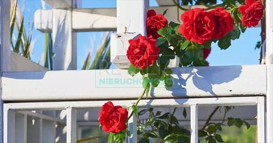 dom na sprzedaż 114m2 dom Żabia Wola