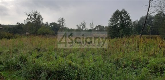 Polecam działkę 917 m² z mediami i lasem w Wólce działka Wólka