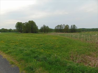 Działka rolna na sprzedaż Kępa Mała 15 000m2 Foto 5