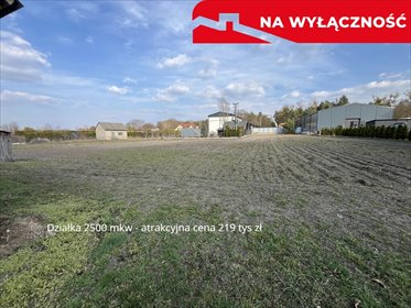 Działka 25 arów z możliwością zabudowy w Uściążu działka Kazimierz Dolny