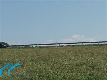 Działka rolna na sprzedaż Łączka, Wierzbowa 20 000m2 Foto 3