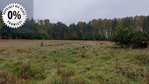 Działka rolna na sprzedaż Podlindowo 120 718m2 Foto 1