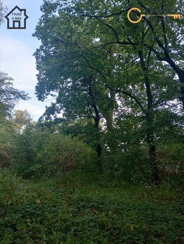 Działka 1100 m2 z odrestaurowanym spichlerzem pod inwestycję działka Lisewo