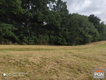 Działka na sprzedaż 3500m2 działka Skrobotowo