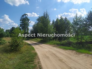 Działka inna na sprzedaż Nowy Lubiel 4 484m2 Foto 7