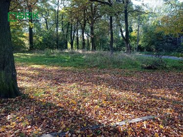 działka na sprzedaż 927m2 działka Sosnowiec, Ildefonsa Gałczyńskiego dz 2/22