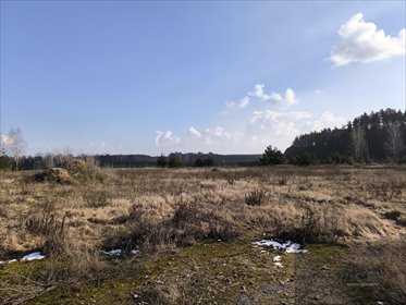 działka na sprzedaż 38200m2 działka Budy Iłowskie