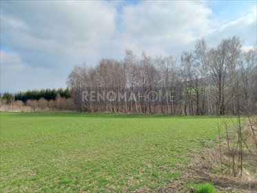Działka budowlana na sprzedaż Witoszów Górny 1 518m2 Foto 7
