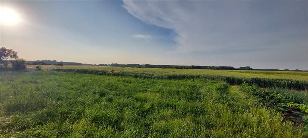 Działka siedliskowa na sprzedaż Barczew 5 900m2 Foto 5