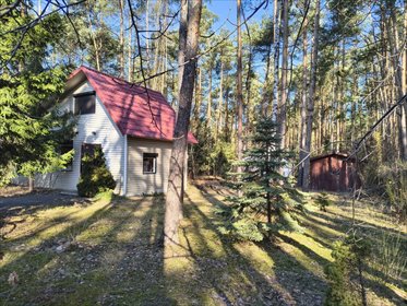 dom na sprzedaż 35m2 dom Kania Góra, Litewska