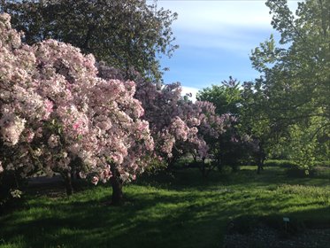 mieszkanie na wynajem 47m2 mieszkanie Poznań, Grunwald, wojskowa,nowe blisko PUMS