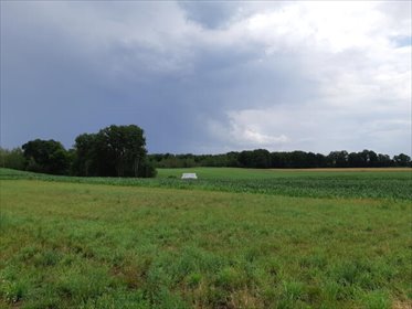 działka na sprzedaż 1500m2 działka Pniewo, Szkolna