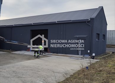 lokal użytkowy na wynajem 250m2 lokal użytkowy Dobrzewino