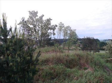Działka 898 m² z mediami - cisza i przyroda w Górkach działka Górki