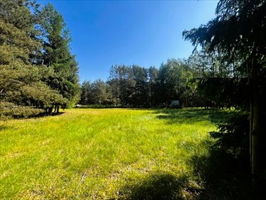 działka na sprzedaż 4293m2 działka Swornegacie