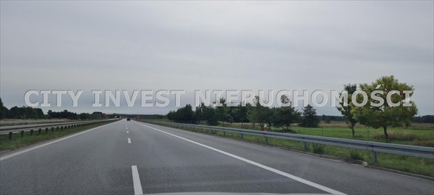 działka na sprzedaż 37000m2 działka Niedoradz