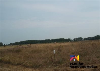 Działka rolna na sprzedaż Goszczanowiec 3 000m2 Foto 3
