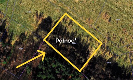 Działka 3012 m² pod dom w zielonej okolicy Radomska działka Radomsko