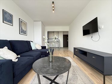 Kawalerka na wynajem Poznań, Winogrady, Osiedle Przyjaźni 27m2 Foto 4