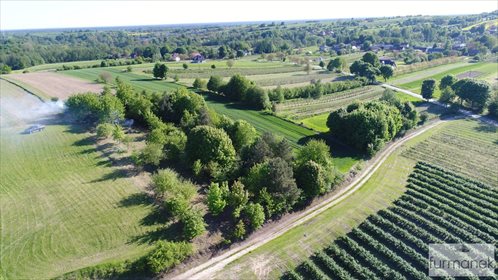 Działka rekreacyjna na sprzedaż Radzięcin 2 328m2 Foto 2