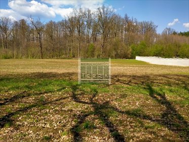 Działka rolna 3510 m² z prądem w spokojnej okolicy działka Letnica