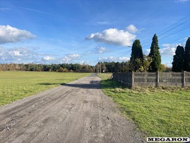 działka na sprzedaż 16219m2 działka Prusicko