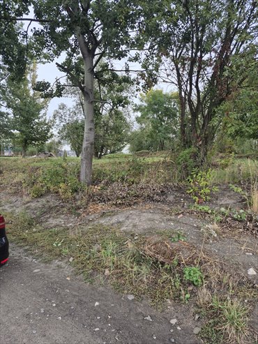Działka inwestycyjna 1,07 ha z mediami i planem. działka Gliwice, Stare Gliwice