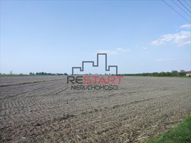 działka na sprzedaż 24500m2 działka Żuków