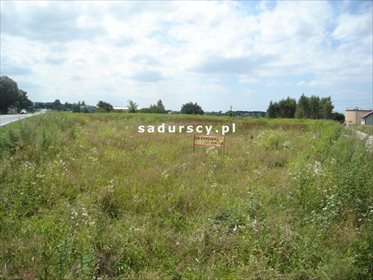 Działka inwestycyjna na sprzedaż Ochmanów 6 800m2 Foto 2