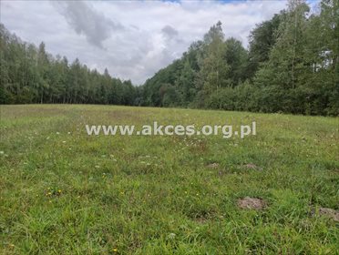 działka na sprzedaż 11450m2 działka Obręb