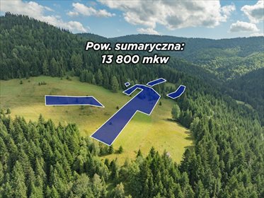Na sprzedaż duży pakiet działek 1,38 ha z lasem w Porębie Wielkiej działka Poręba Wielka