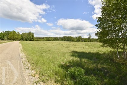 Polecam działkę 9661 m² w Olchówce z warunkami zabudowy i przyłączem prądu działka Olchówka