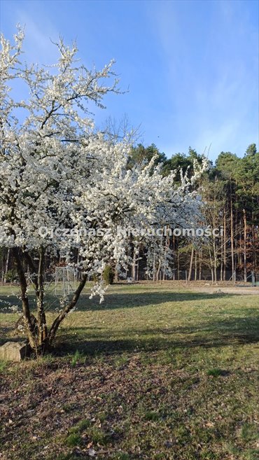 Działka 960 m² pod dom w Toporzysku, media w drodze działka Toporzysko