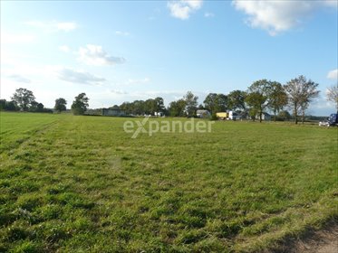 działka na sprzedaż 3000m2 działka Chabowo-Świniary