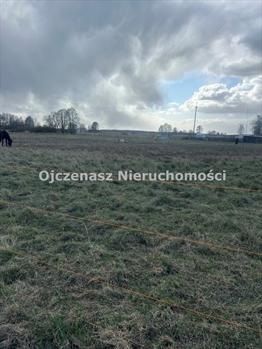 działka na sprzedaż 6892m2 działka Przyłęki