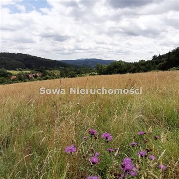 działka na sprzedaż 835m2 działka Jedlina Zdrój, Glinica