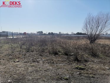 Na sprzedaż działka inwestycyjna 14 000 m² w Łajskach działka Łajski