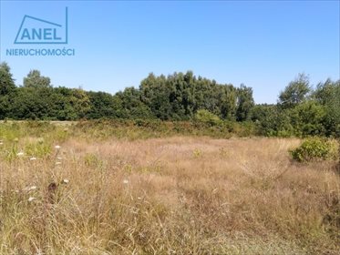 Działka inna pod dzierżawę Mikołów, Borowa Wieś 541m2 Foto 6