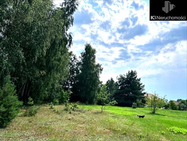 Przestronna działka 2543 m² pod dom i inwestycję. działka Wyszków