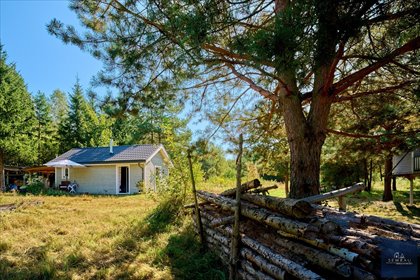 Działka 3838 m² z domkiem i warunkami zabudowy zapraszam działka Skórka