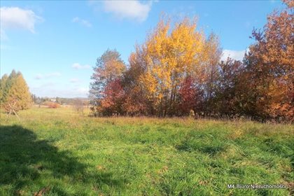 Działka budowlana na sprzedaż Krosno, Turaszówka 4 200m2 Foto 4
