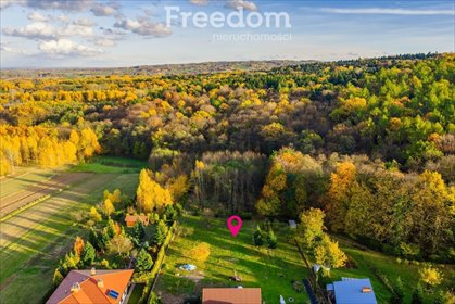 działka na sprzedaż 6030m2 działka Cierpisz