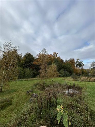 działka na sprzedaż 1160m2 działka Żary