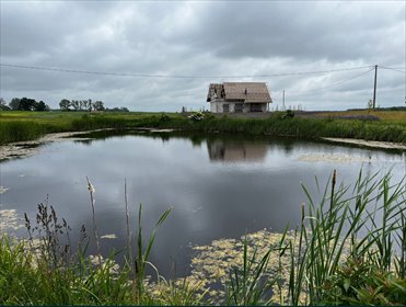 działka na sprzedaż Rumunki Witkowskie 4900 m2