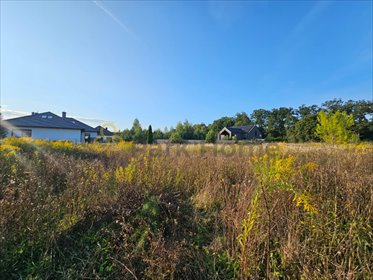 działka na sprzedaż 1010m2 działka Zbrudzewo