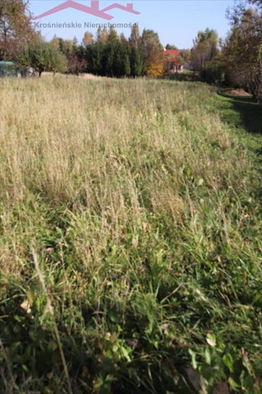 Działka budowlana na sprzedaż Głowienka 3 300m2 Foto 1