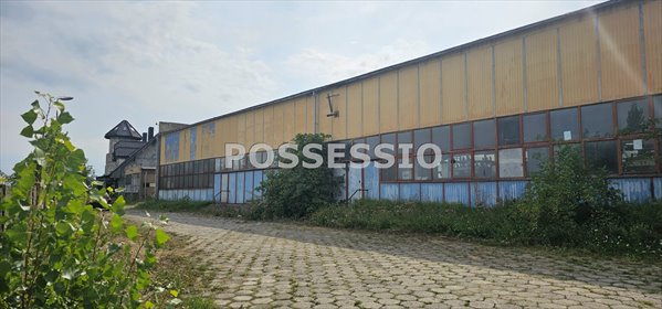 działka na wynajem 650m2 działka Strzegom